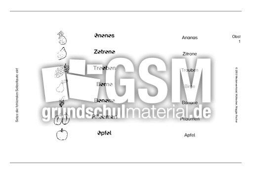 Obst1-2.pdf